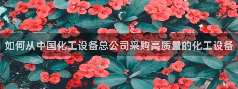 新城平台官网首页入口