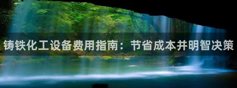 新城平台总代理是谁