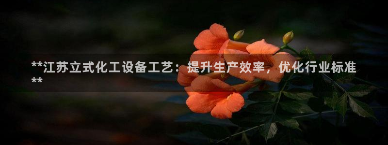 新城平台注册公司流程