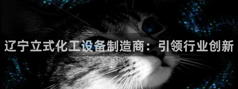 新城平台官网首页入口