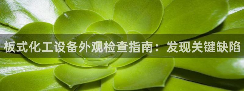 新城平台注册流程