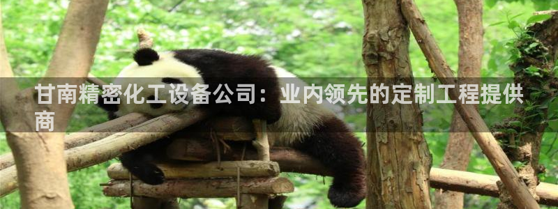 新城平台官网首页登录