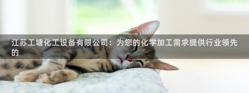 新城平台平台最新活动信息