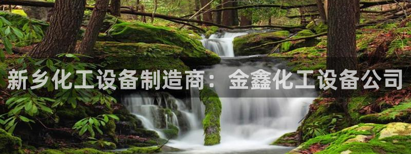 新城平台登录密码忘了怎么办