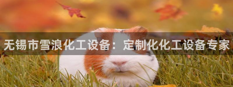 新城平台主管