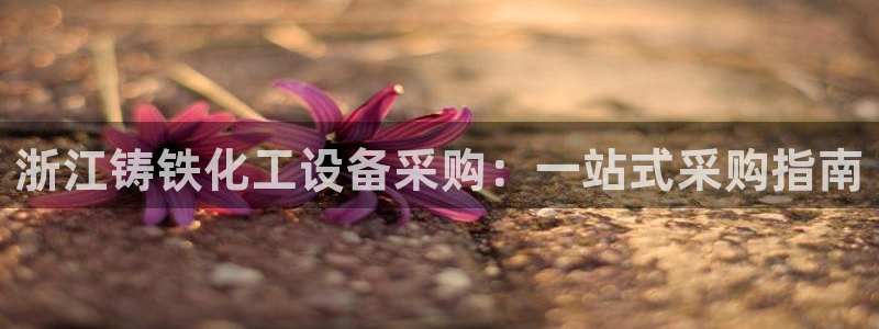 新城平台日7O777