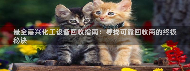新城平台是干嘛的公司啊