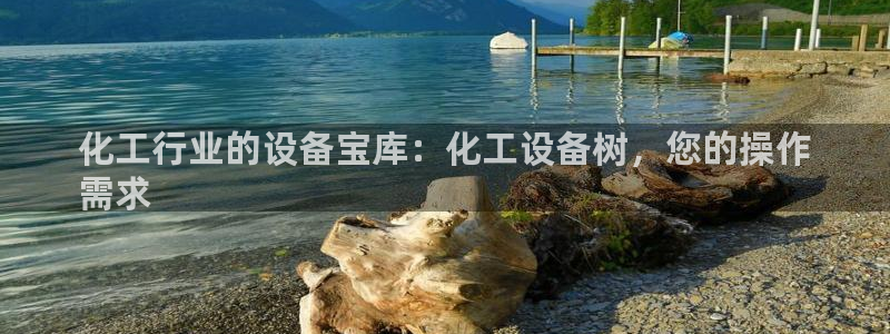新城平台线路登录不上去怎么回事