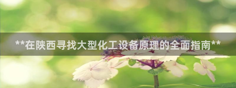 新城平台线路登录不上去怎么办呀