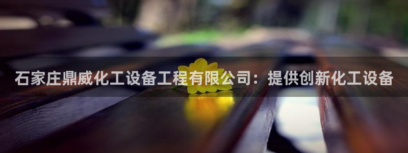 新城平台招商