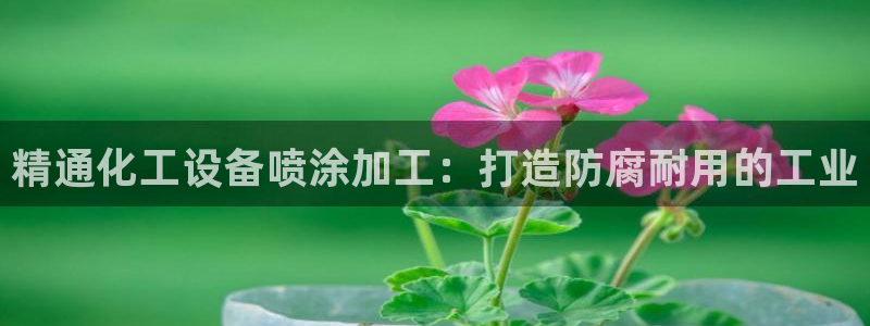 新城平台代理