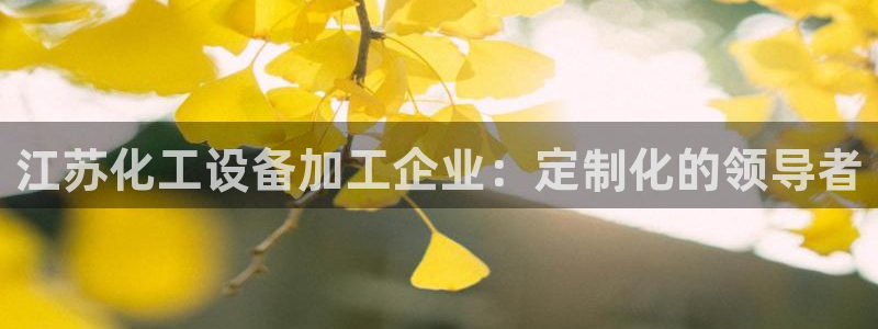 新城平台注册流程及费用