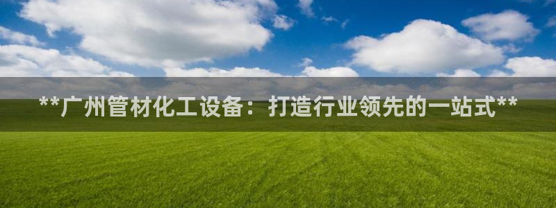 新城平台公司