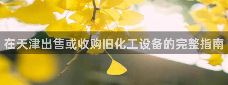新城平台进.新城平台.稳定风险提示
