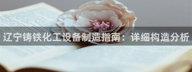 新城平台公司是国企吗