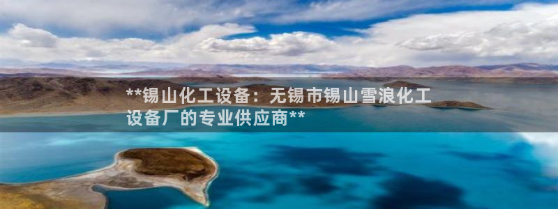 新城平台登录入口官网下载
