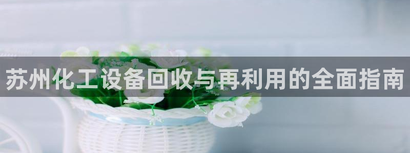 新城平台线路登录不上去怎么回事呢