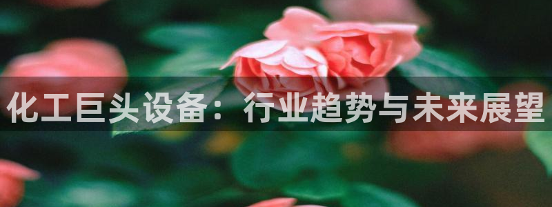 新城平台新注册