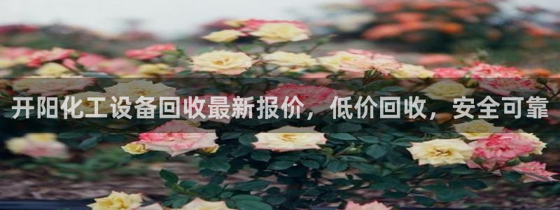 新城平台注册资金多少合适