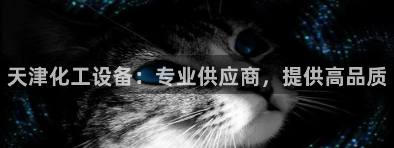 新城平台网址