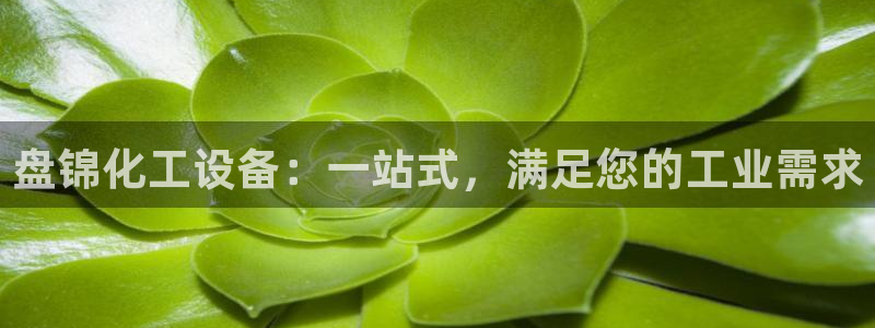 新城平台登录入口网址