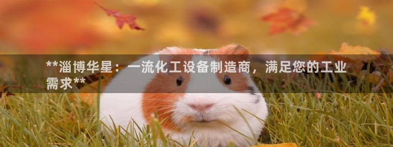 新城平台公司