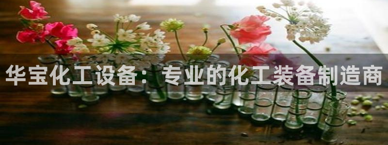 新城平台注册公司流程图