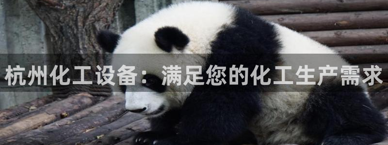 新城平台是干嘛的公司有哪些