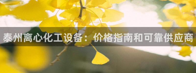 新城平台注册资金多少合适