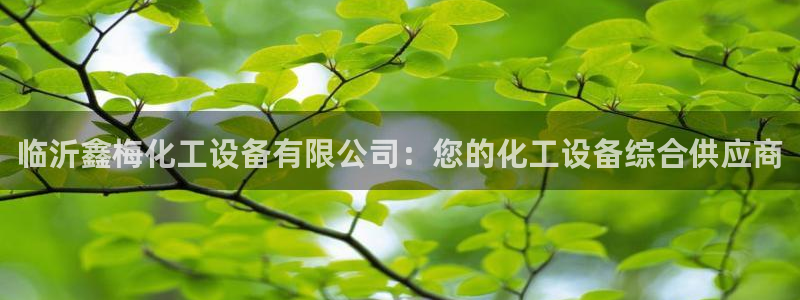 新城平台线路登录不上去怎么办呀