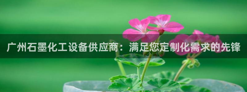 新城平台官网首页登录