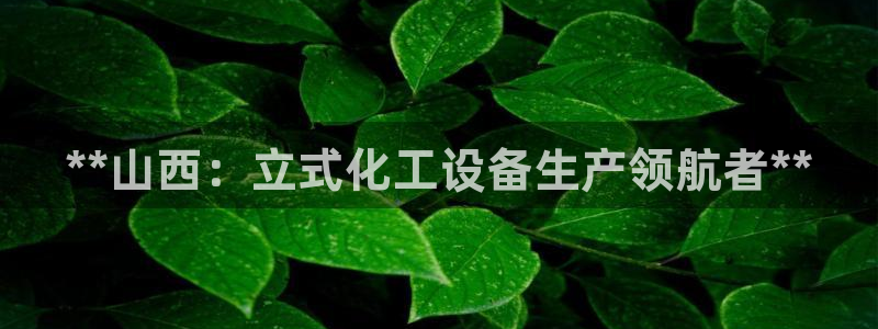 新城平台登录入口官网查询网址