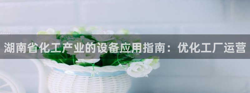 新城平台官网首页网址