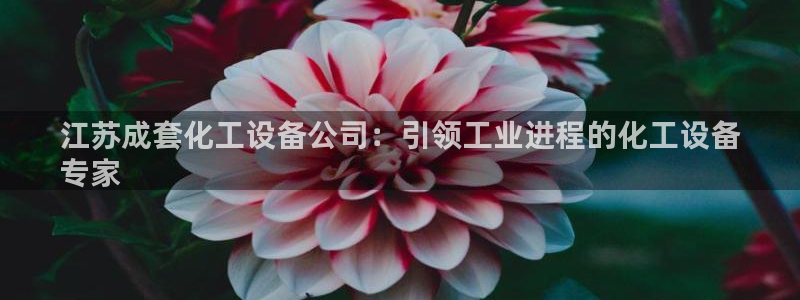 新城平台注册流程及费用