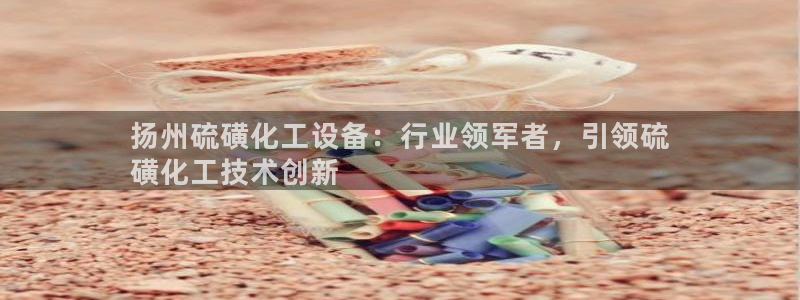 新城平台登录入口官网查询信息