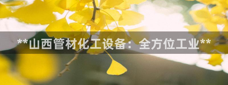 新城平台是干嘛的