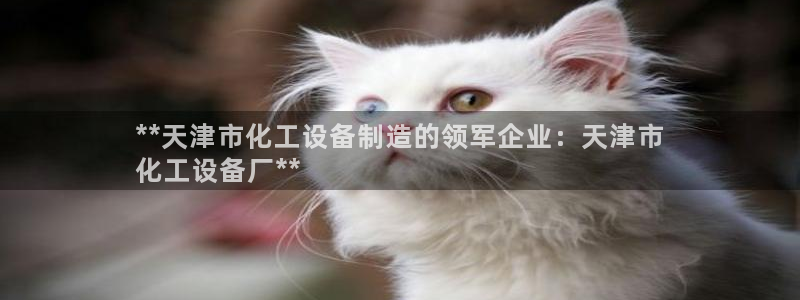 新城平台注册流程图