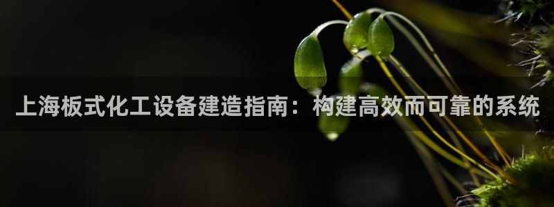 新城平台官网注册入口