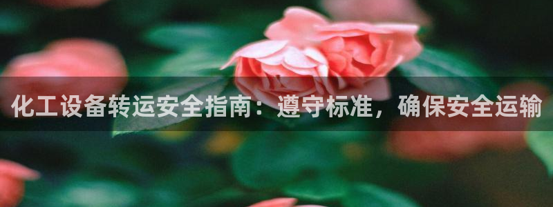 新城平台注册资金多少