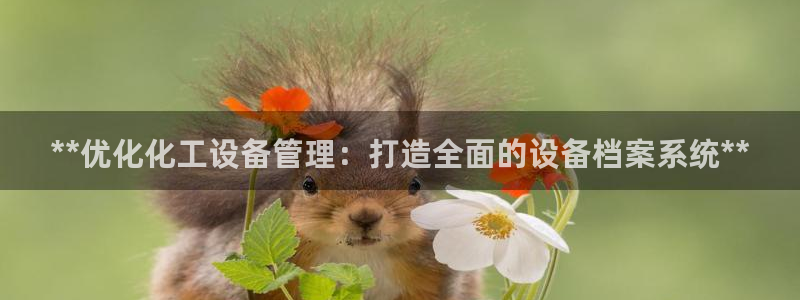 新城平台登录密码忘了怎么办