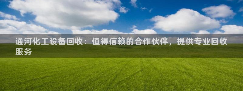 新城平台注册公司流程