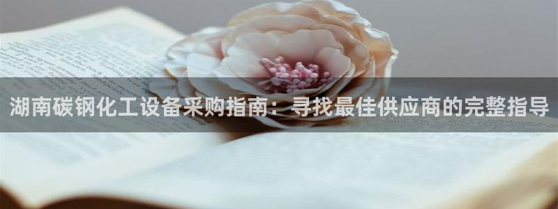 新城平台登录入口官网下载手机版