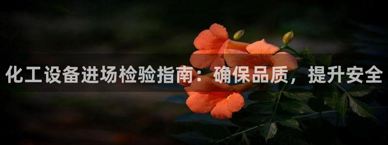 新城平台注册公司流程图