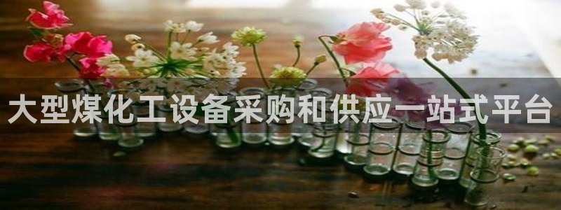 新城平台官网首页