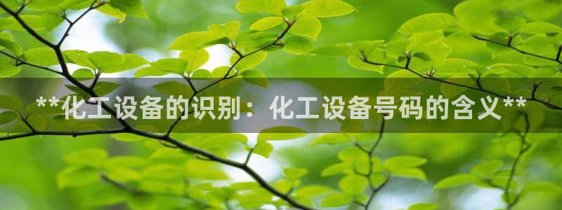 新城平台平台最新活动信息