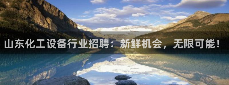 新城平台注册公司流程图