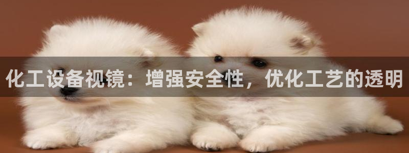 新城平台代理电话