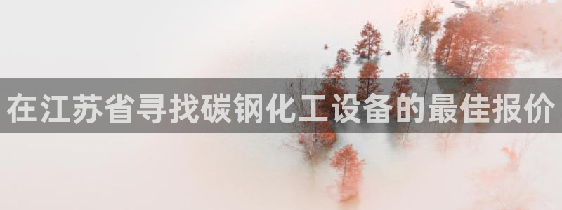 新城平台代理注册公司