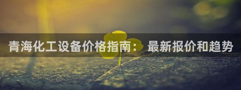 新城平台登陆