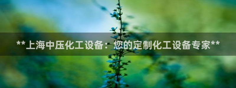 新城平台代理注册流程